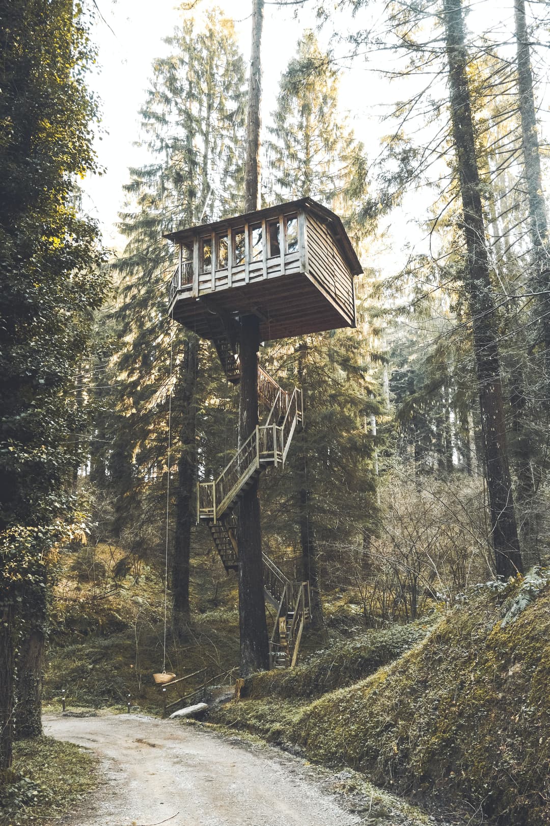 treehouse in the forrest